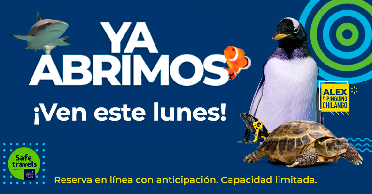 BANNER REAPERTURA IPAD