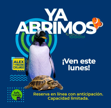 BANNER REAPERTURA MOVIL 1