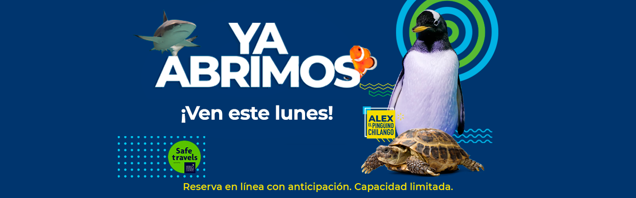 BANNER REAPERTURA WEB 1
