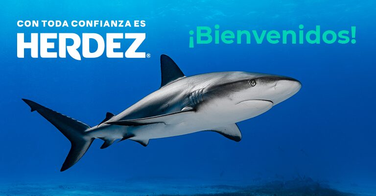 BANNER HERDEZ IPAD