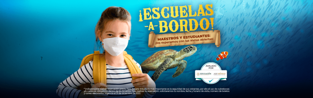 BANNER ESCUELAS DESKTOP