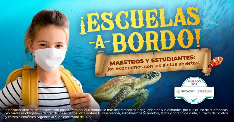 BANNER ESCUELAS IPAD