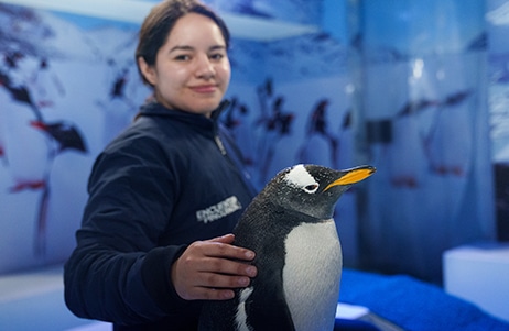 Entradageneral pinguinos acuarioinbursa