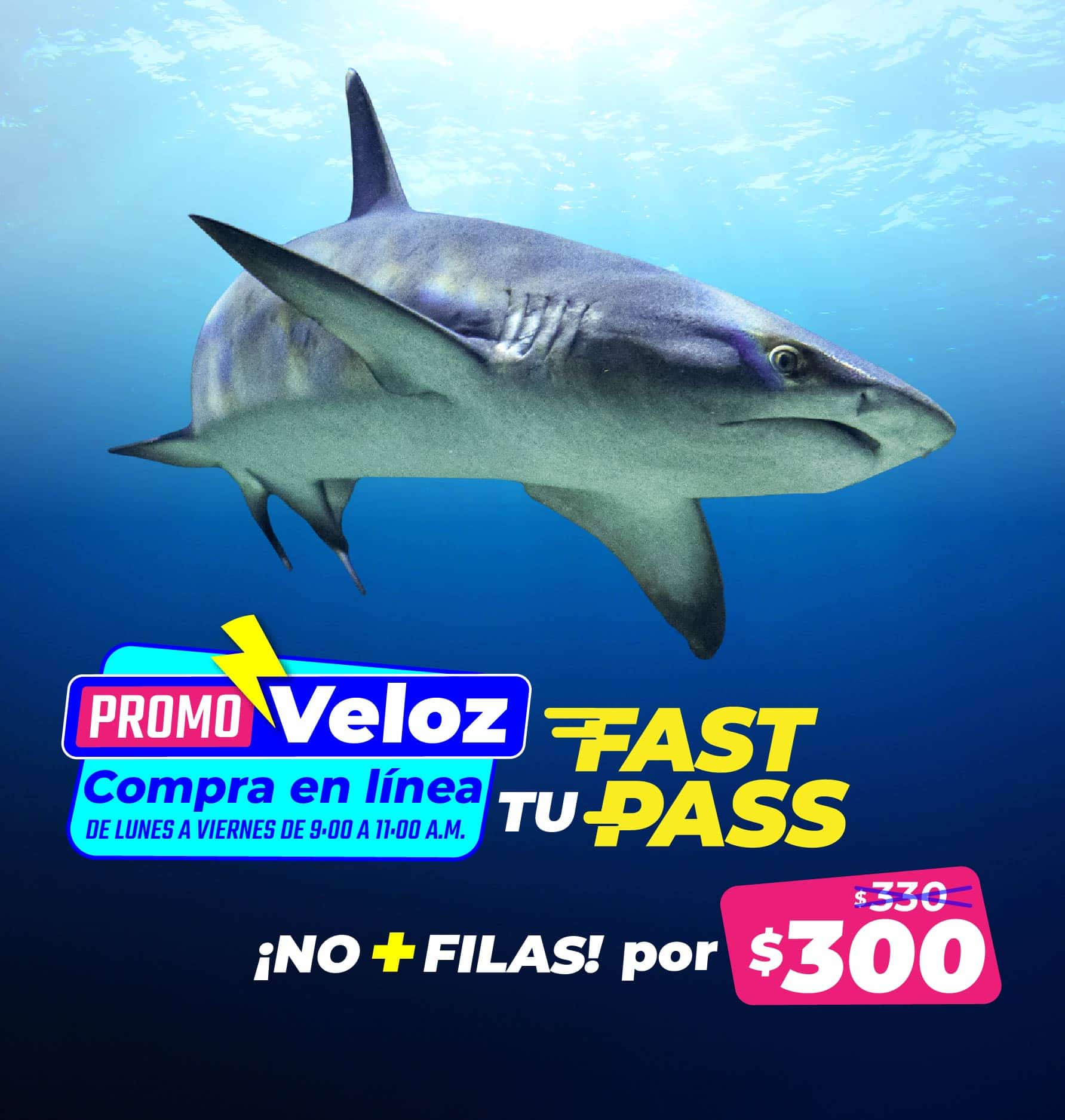 20240823 PromoVeloz BannerMovil