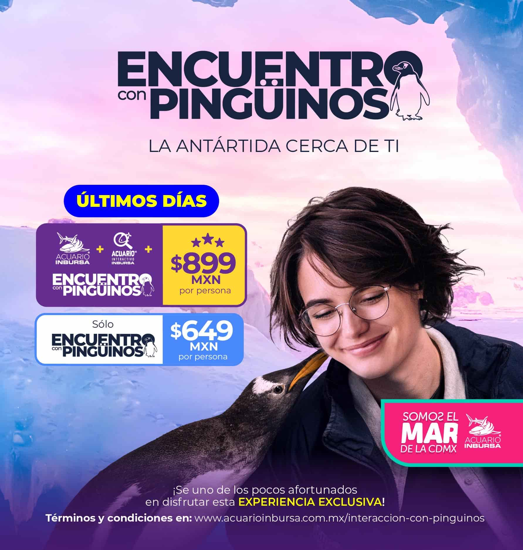 Ultimos dias InteraccionPinguinos BannerMovil