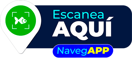 EscaneaAqui sticker 1