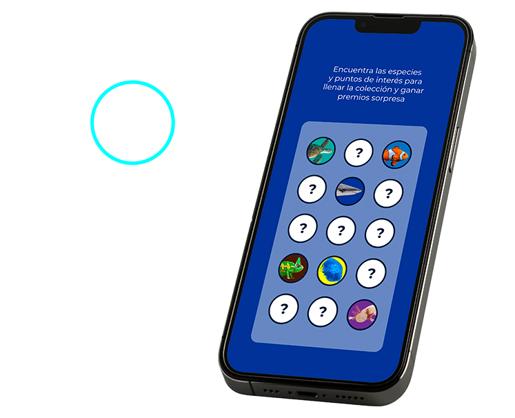 PASO 4-USO APP