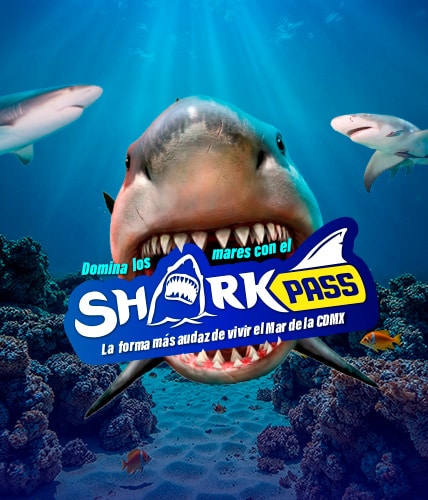 ACUARIOINBURSA SHARKPASS PROMOCIONES