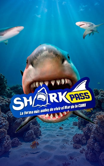 PASES SHARKPASS ACUARIOINBURSA