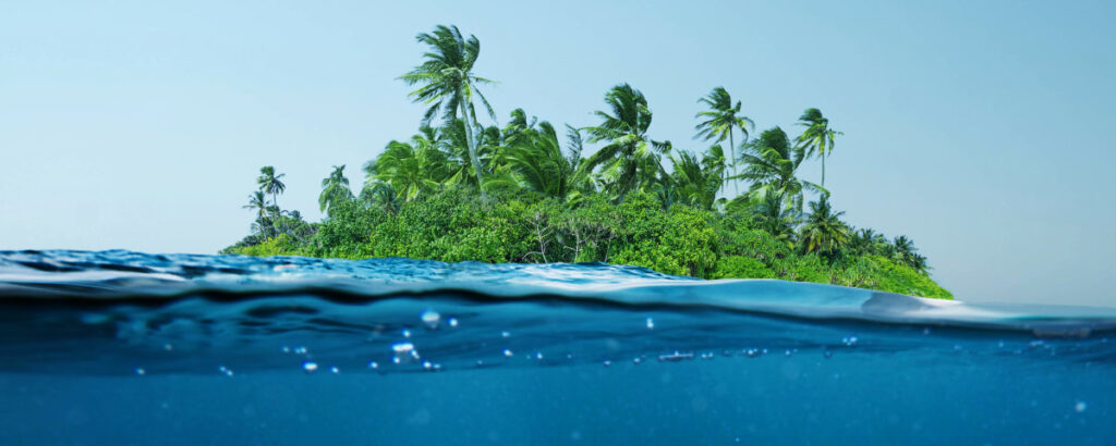 20250225 Blog 1200x480 1