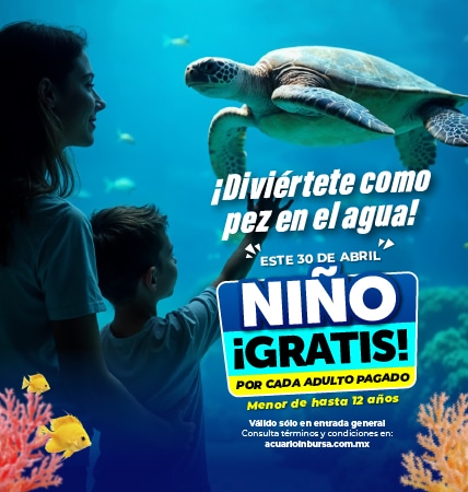 DIA NINO ACUARIOINBURSA MOVIL