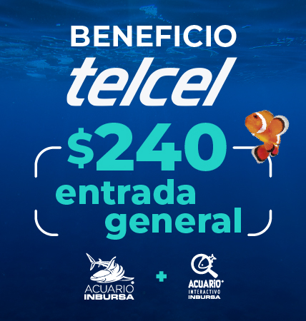 20250520 Beneficio Circulo Azul Telcel BannerMovil 1