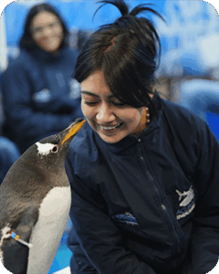PINGÜINO-2