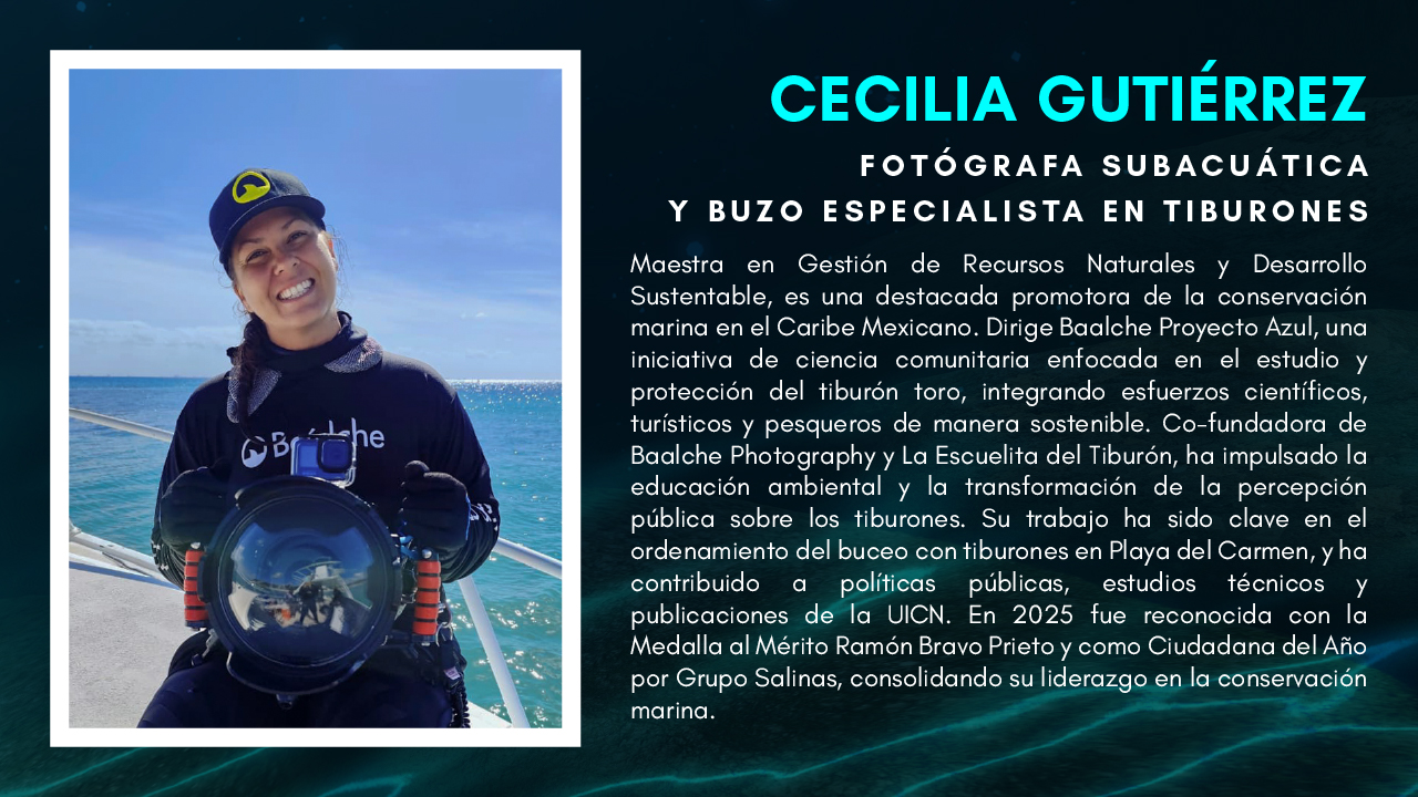 20250616 Verano Tiburones Ficha Ceci