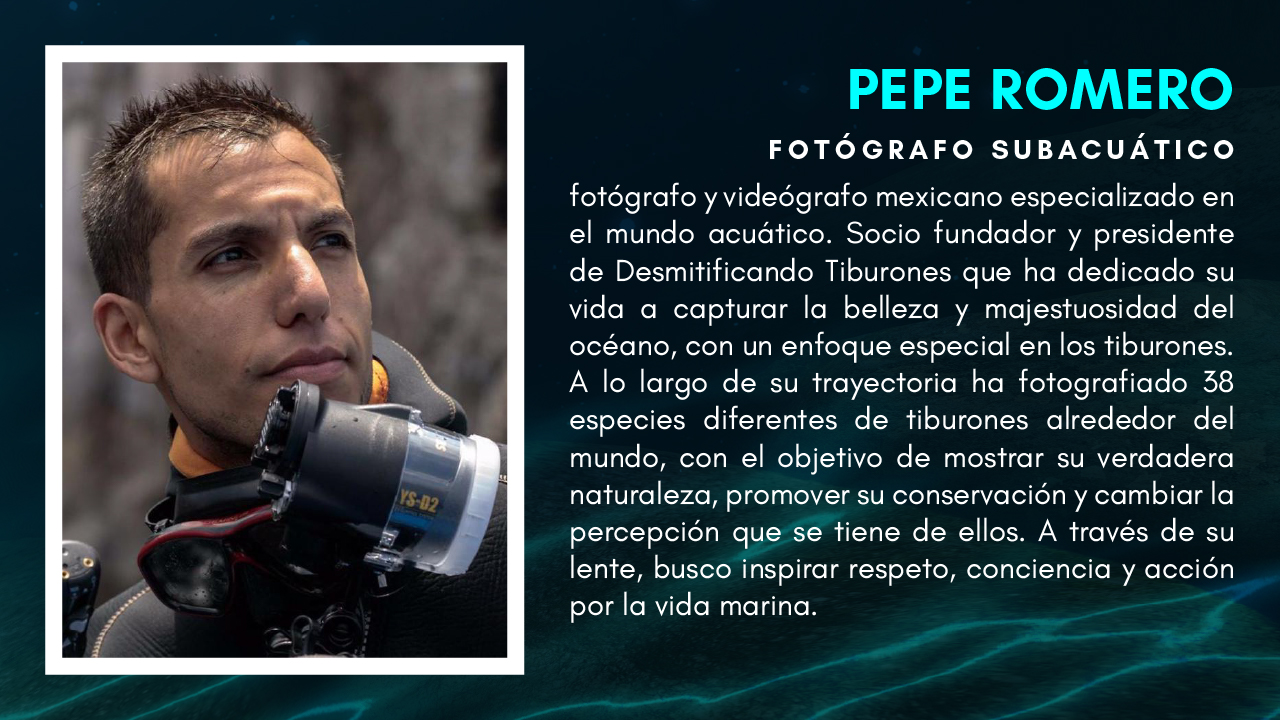 20250616 Verano Tiburones Ficha Pepe