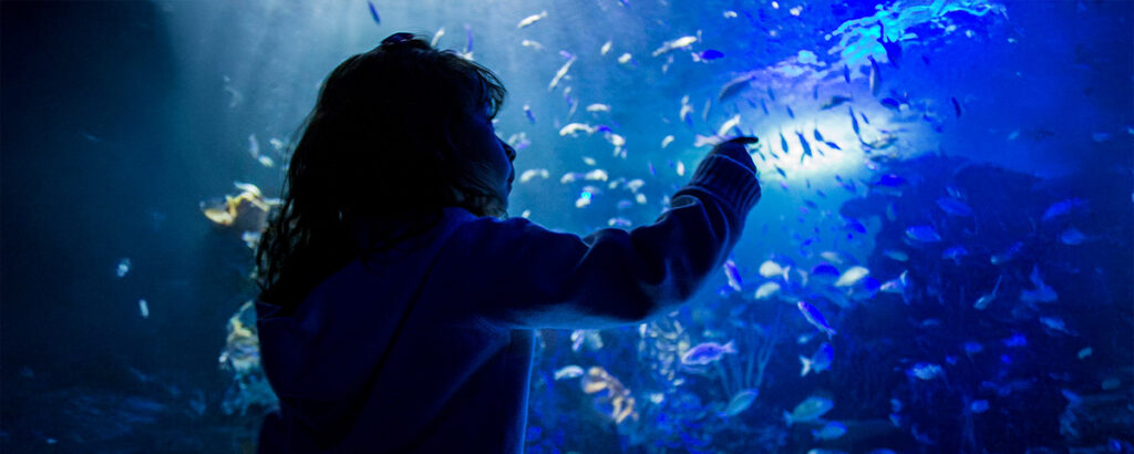 ACUARIO INBURSA POLANCO