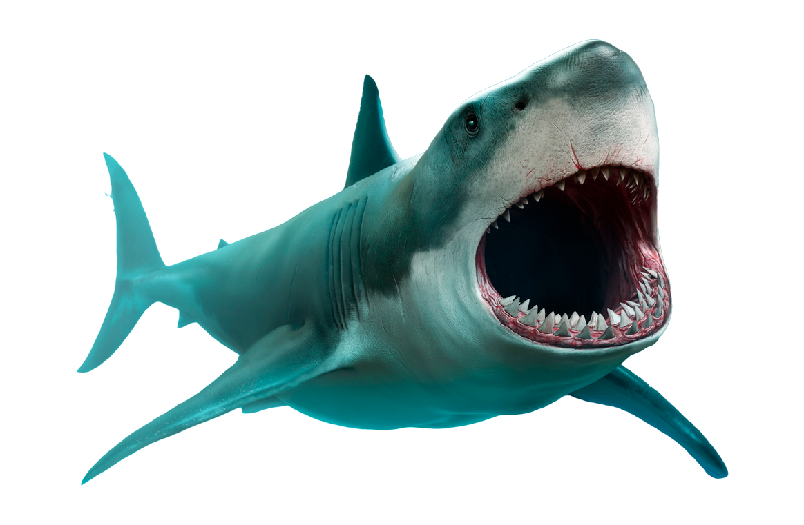 TIBURON ACUARIOINBU 2