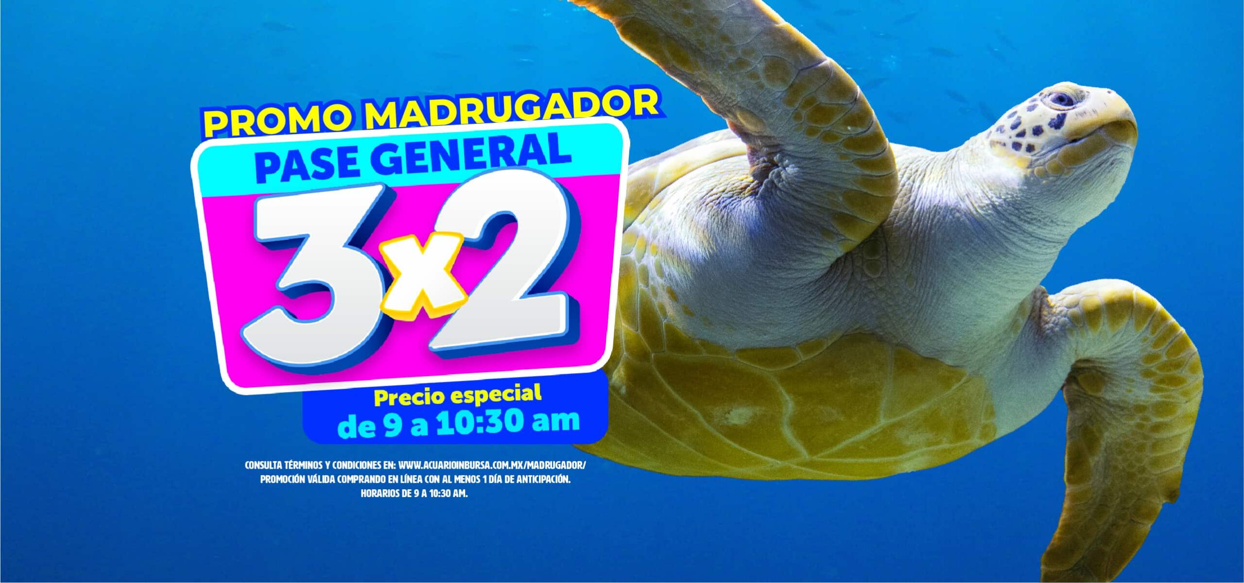 MADRUGADOR PROMO 2025 ACUARIOINBURSA DESK scaled