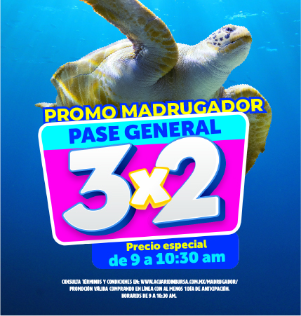 MADRUGADOR PROMO 2025 ACUARIOINBURSA MOVIL