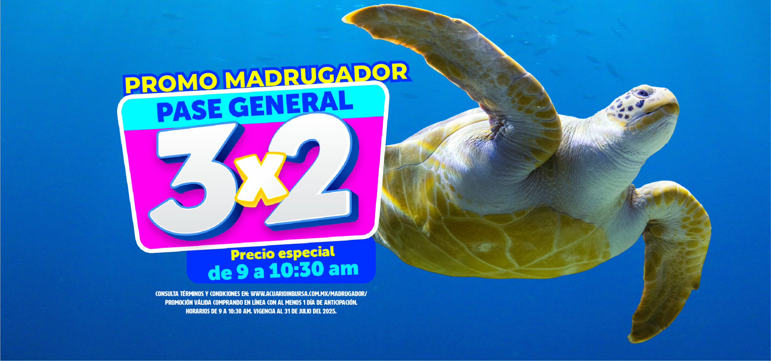 Madrugador verano acuarioinbursa desk scaled