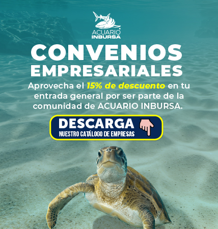 20250804 Convenios Empresariales BannerMovil