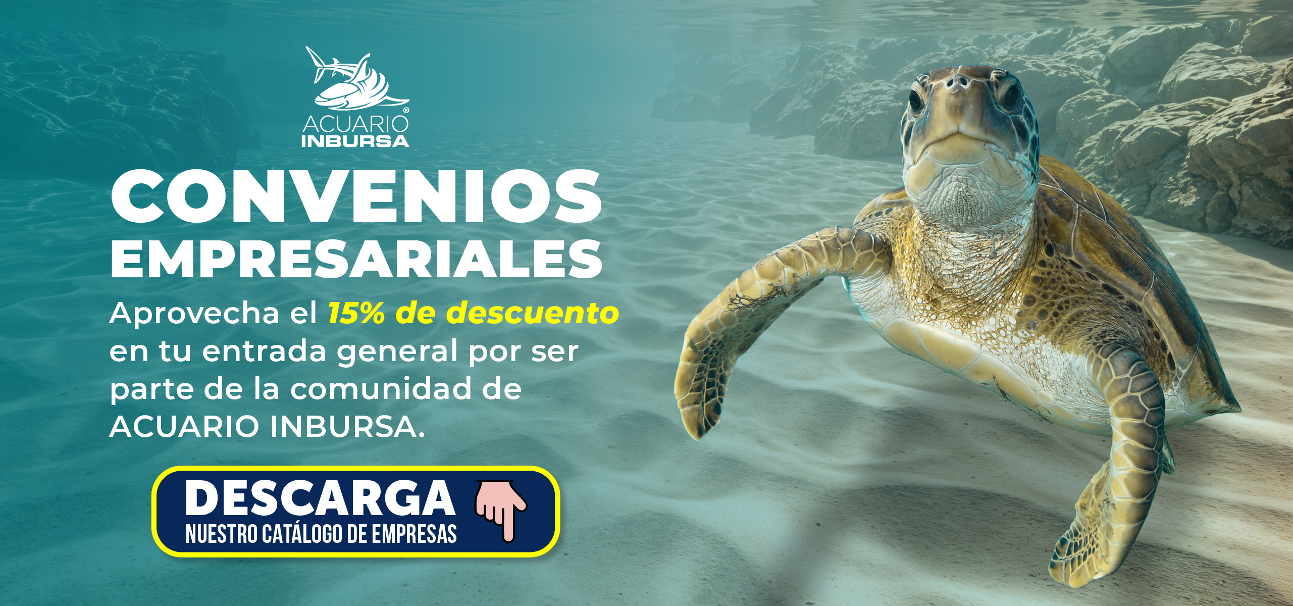 20250804 Convenios Empresariales BannerWeb
