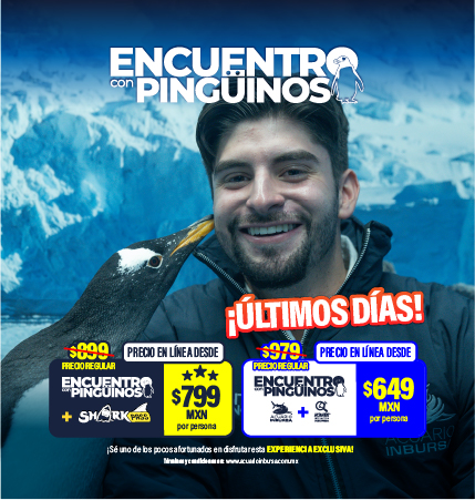 Ultimos dias pinguinos acuarioinbursa movil