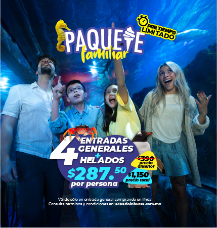 n5VsZ9vc PAQUETE FAMILIAR ACUARIOINBURSA MOVIL 25