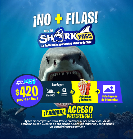 sharkpass acaurioinbursa nofilas movil