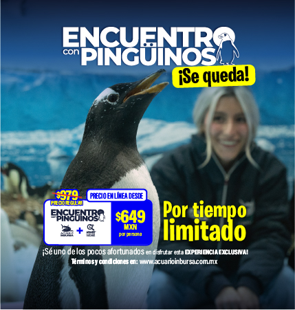 GENERALPINGUINOS SEQUEDA ACUARIOINBURSA MOVIL