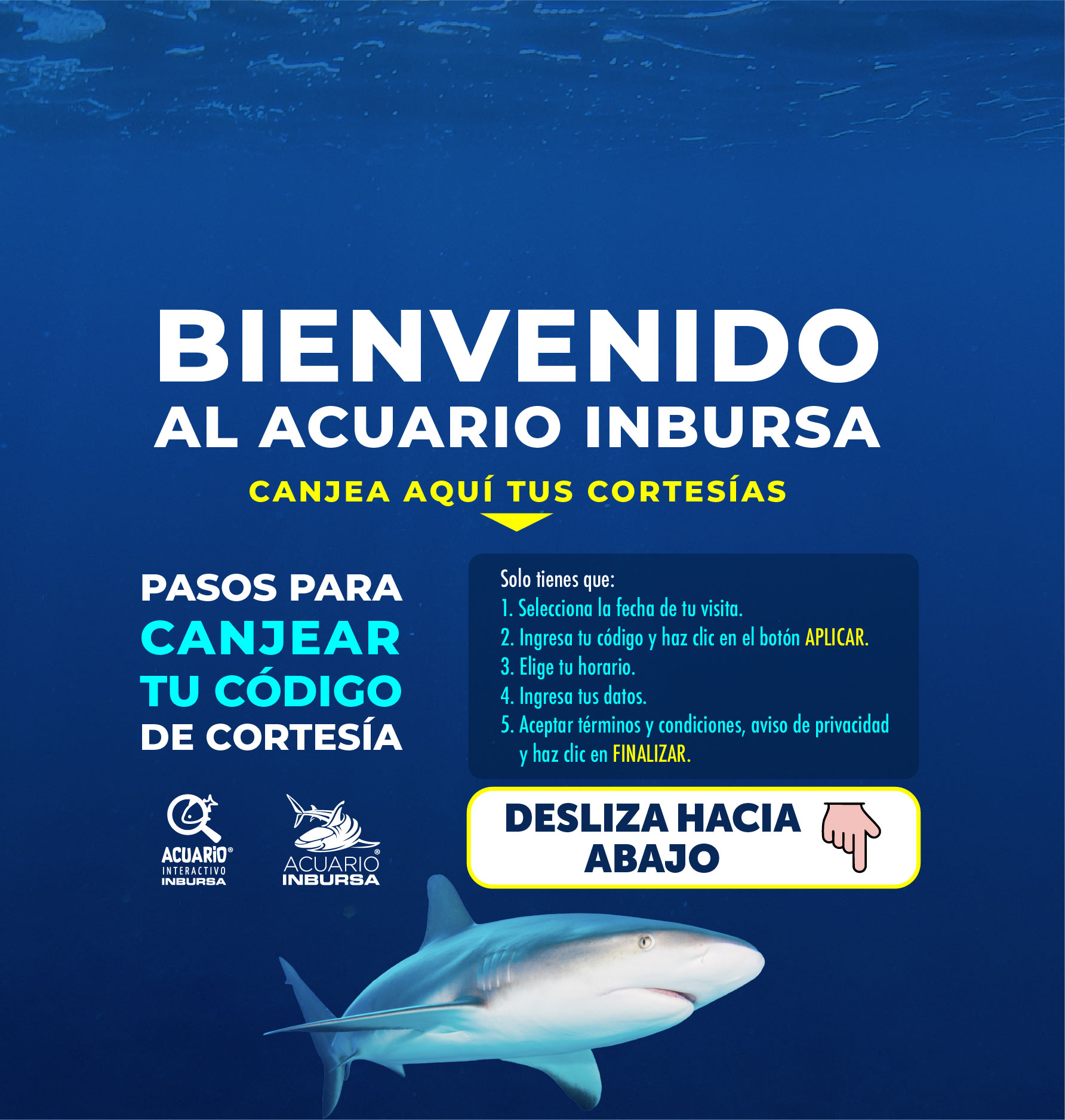 20250730 Cortesias Acuario Inbursa movil