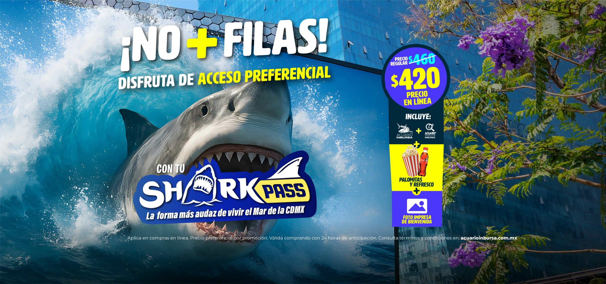 SharkPass OCTUBRE acuarioinbursa 25 desk scaled