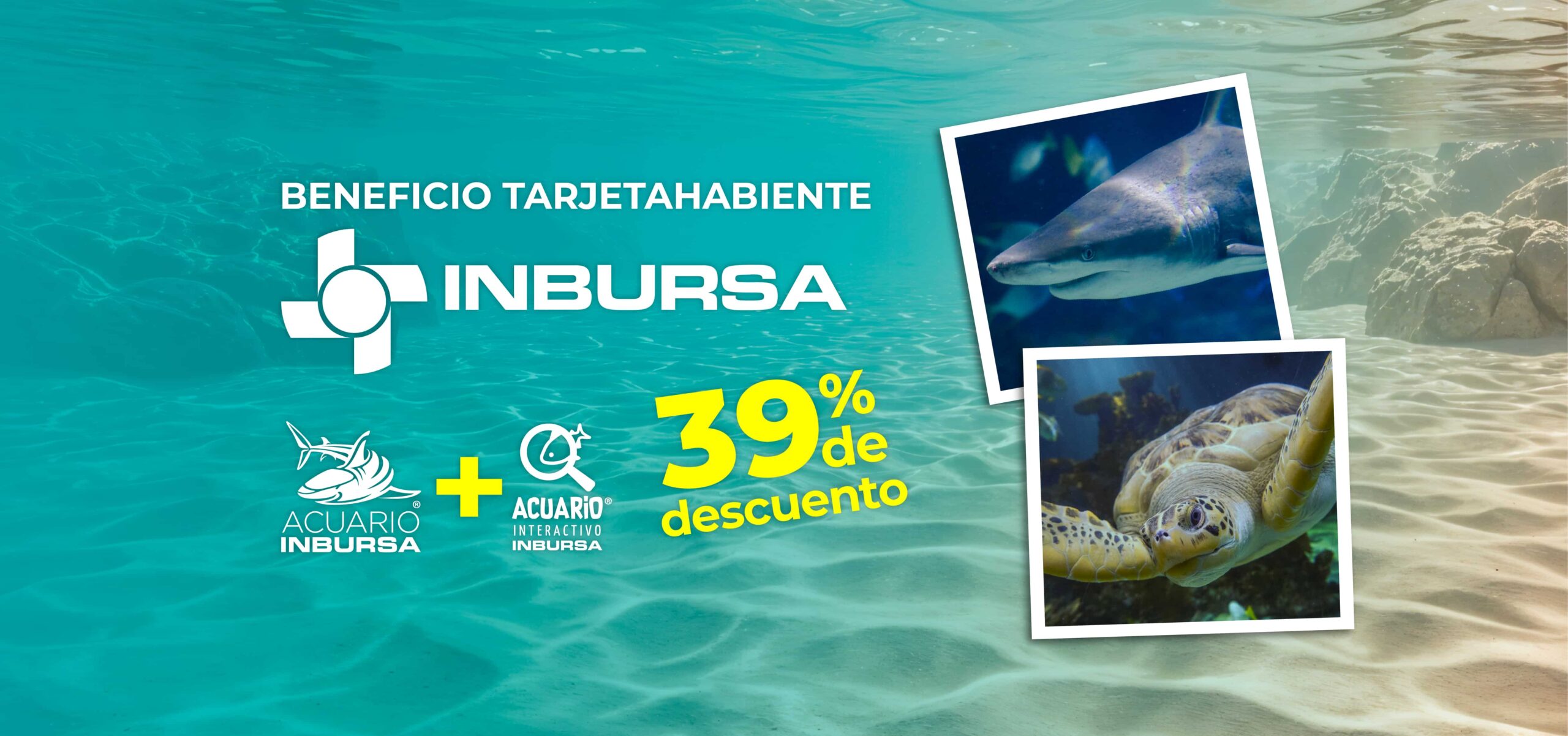 20251027 Beneficio Tarjetahabiente Inbursa 2561x1202 1 scaled