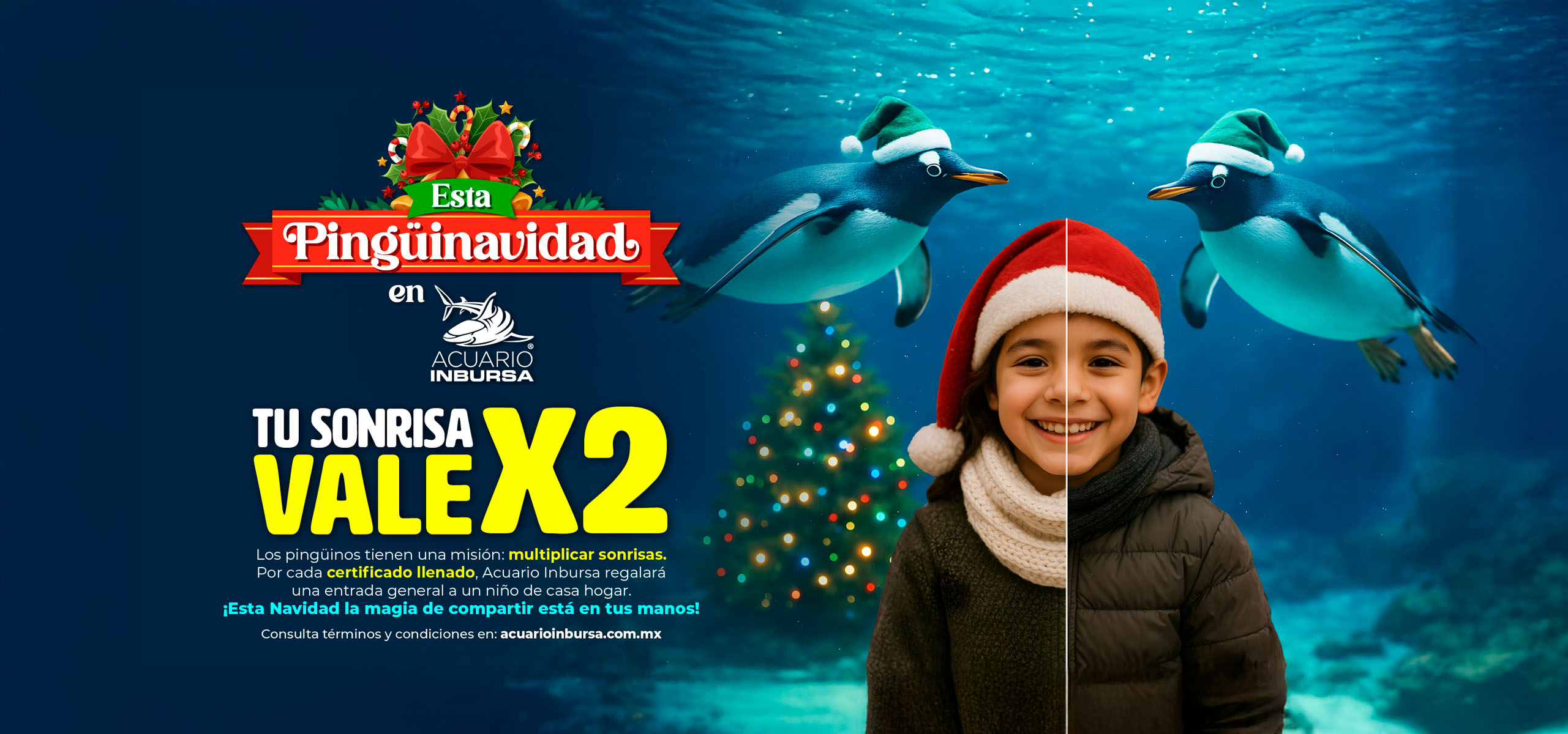 PINGUINAVIDAD2025 ACUARIOINBURSA DESK