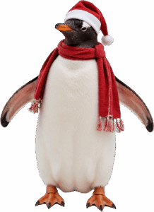 Pinguinogento sealandmty2