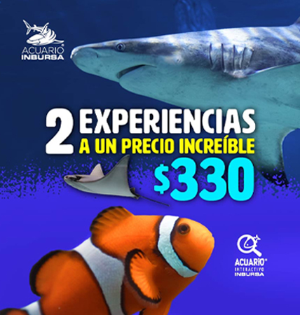 2 EXP ACUARIOINB DESK26