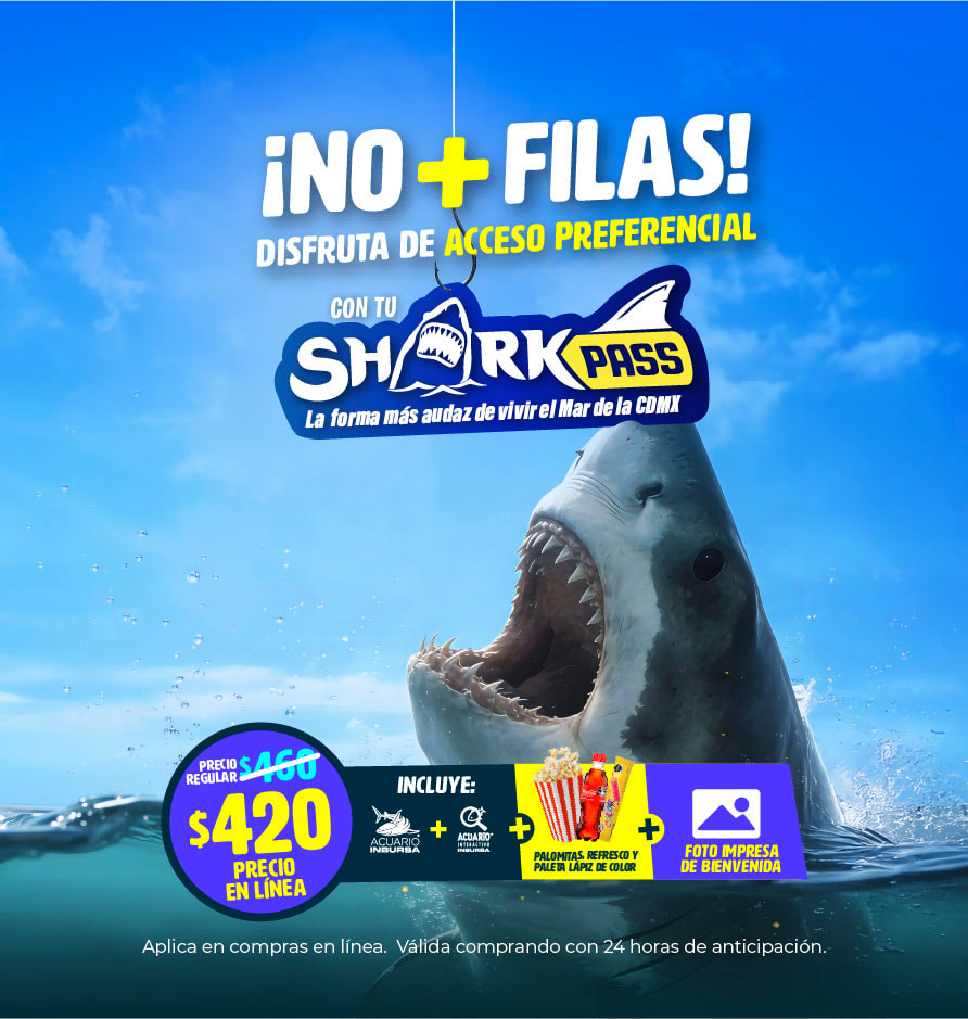 SHARK PASS ACUARIOINBURSA FEB26 MOVIL