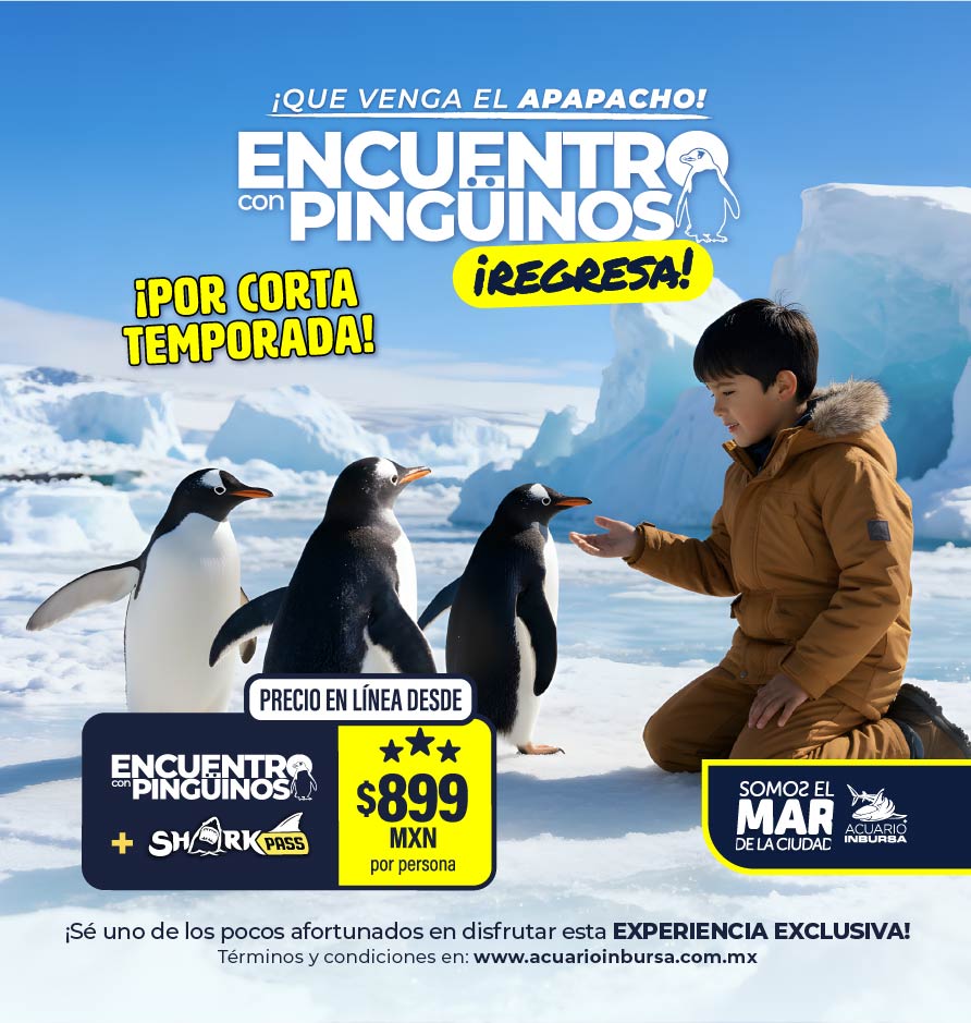 Interaccion Pinguinos Regresa Sharkpass acuarioinbursa BannerMovil