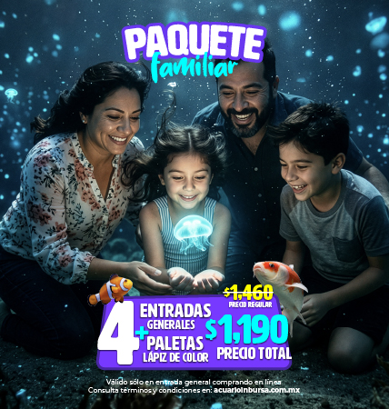 PAQUETE FAMILIAR ACUARIOINBURSA VACACIONES MOVIL