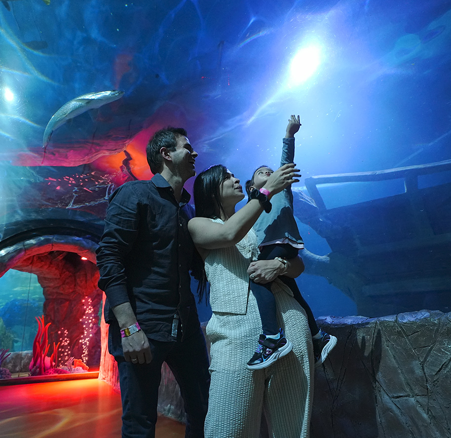 Vacaciones en Acuario Inbursa el plan imperdible para disfrutar en la CDMX