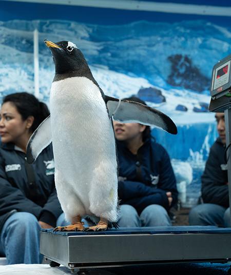 CLINICAPOLAR-ACUARIOINBURSA1