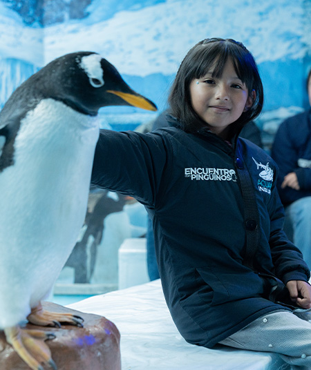 CLINICAPOLAR-ACUARIOINBURSA2