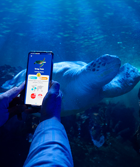 NAVEGAPP-EXPERIENCIAS-ACUARIOINBURSA