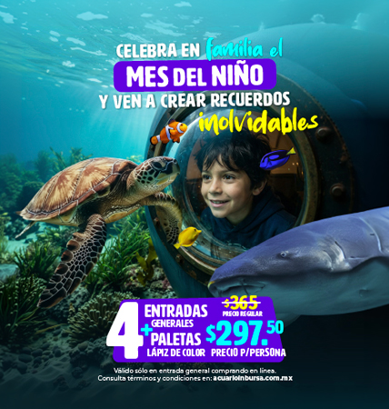 PAQUETEFAMILIAR DIADELNINO ACUARIOINBURSA MOVIL