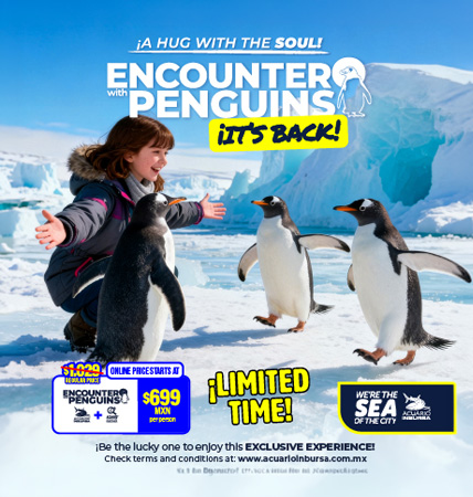 ENCOUNTER PENGUINS GENERAL ACUARIOINBURSA MOVIL