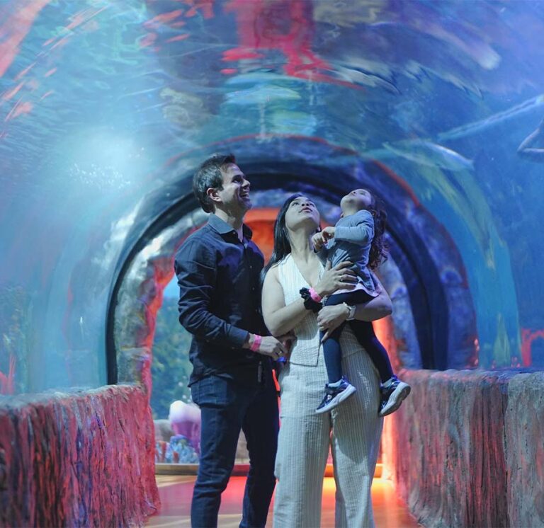 Acuario Inbursa CDMX | El Acuario más Grande de la Ciudad de México